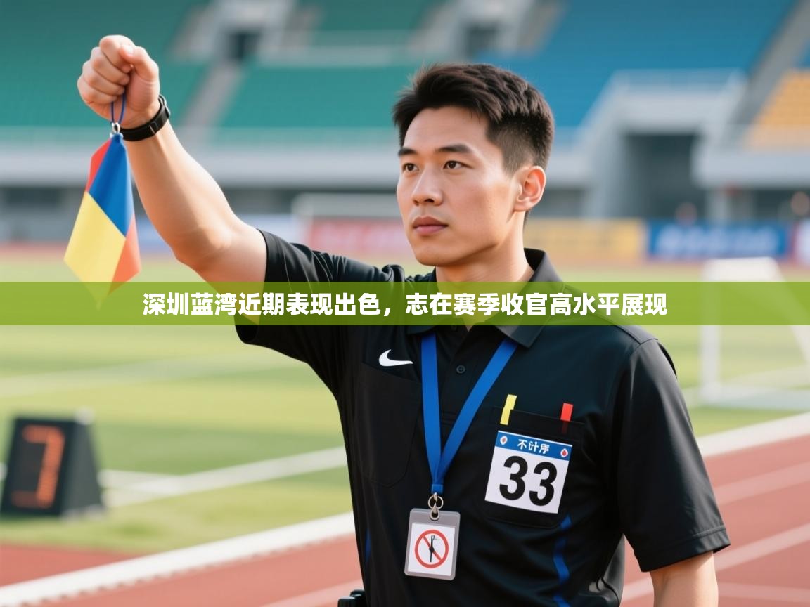 开云体育入口邀请码-深圳蓝湾近期表现出色，志在赛季收官高水平展现  第4张