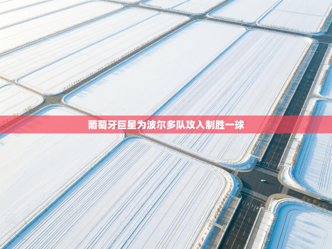 开云体育客服在线咨询-葡萄牙巨星为波尔多队攻入制胜一球  第1张