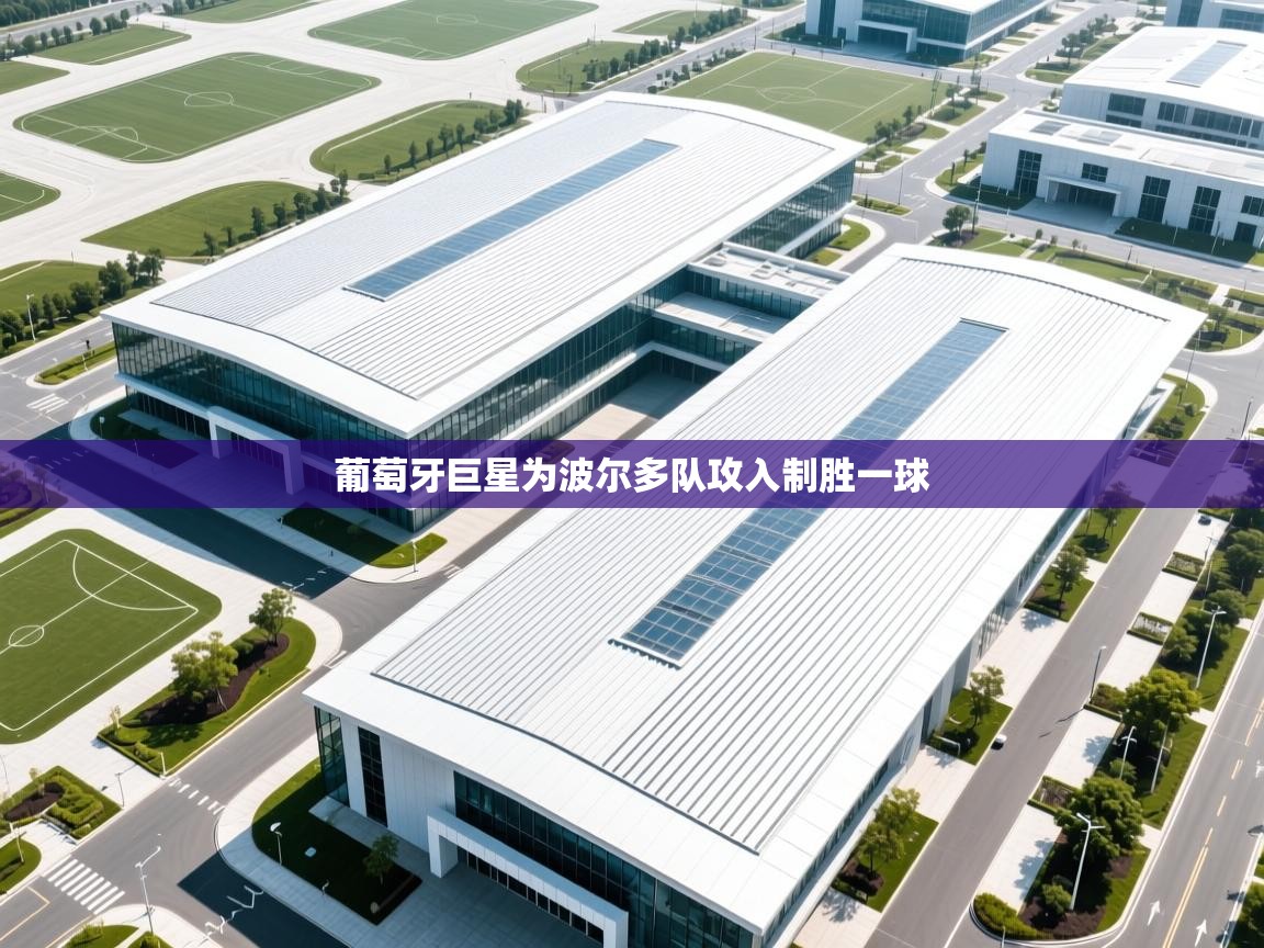 开云体育客服在线咨询-葡萄牙巨星为波尔多队攻入制胜一球  第2张