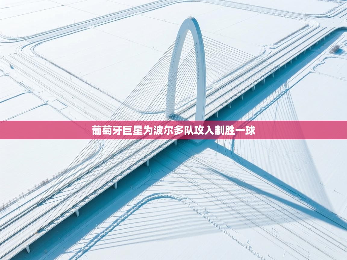 开云体育客服在线咨询-葡萄牙巨星为波尔多队攻入制胜一球  第3张