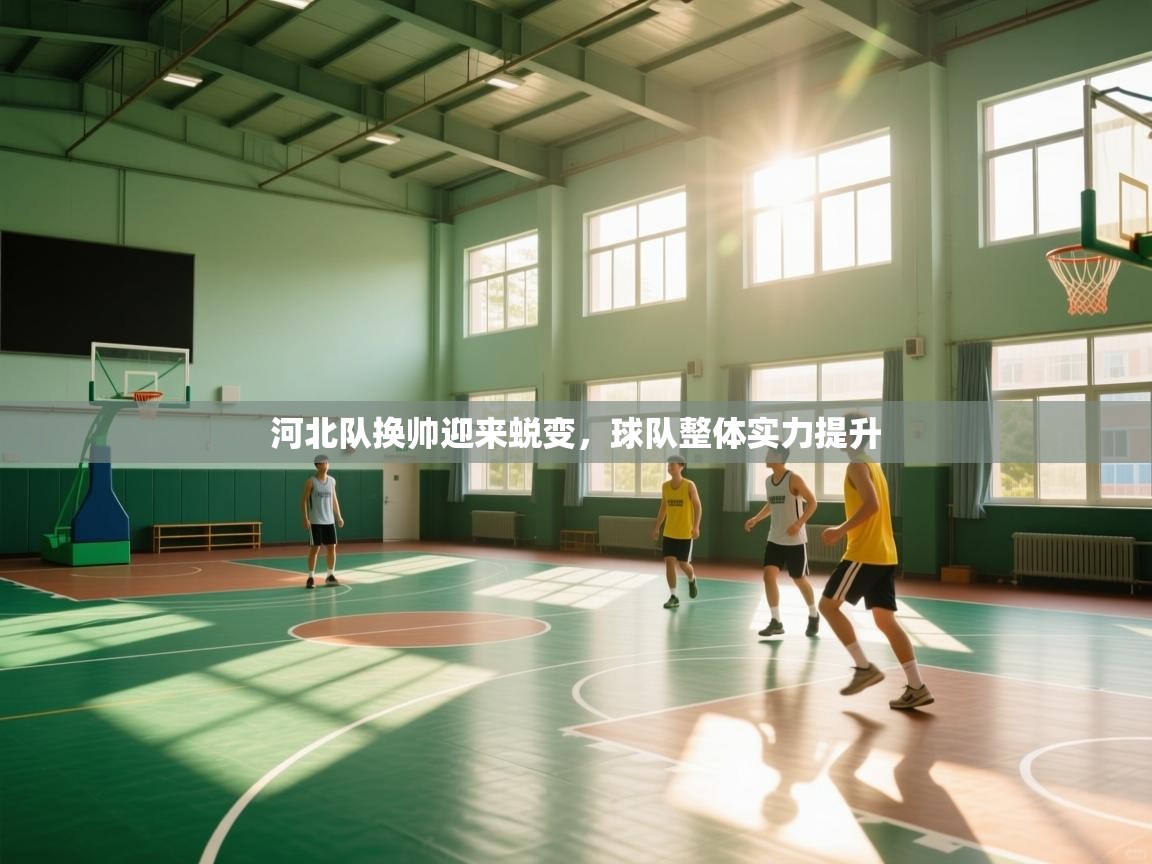 开云体育登录入口网址-河北队换帅迎来蜕变,球队整体实力提升 第1张