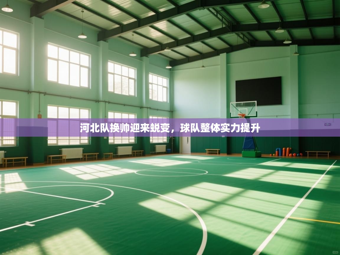 开云体育登录入口网址-河北队换帅迎来蜕变,球队整体实力提升 第3张