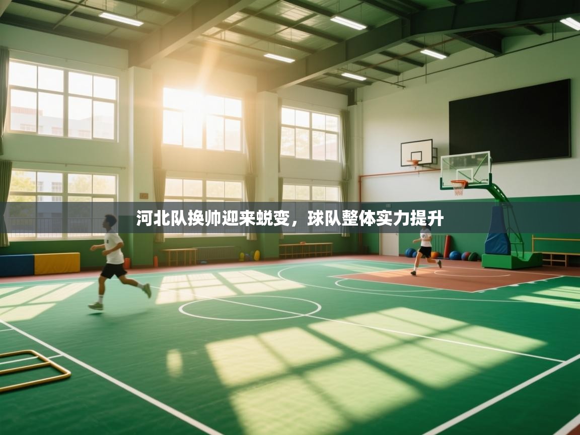 开云体育登录入口网址-河北队换帅迎来蜕变,球队整体实力提升 第4张