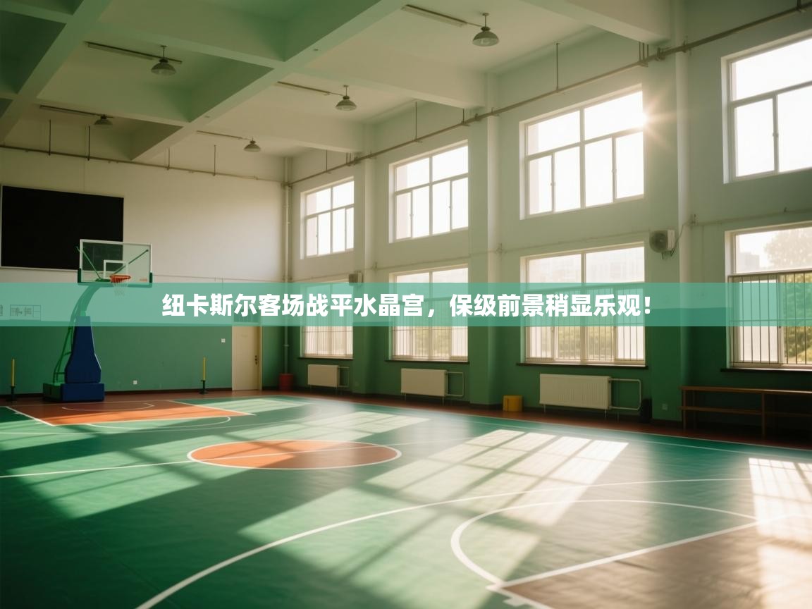 开云体育app官网入口网页版-纽卡斯尔客场战平水晶宫,保级前景稍显乐观! 第3张