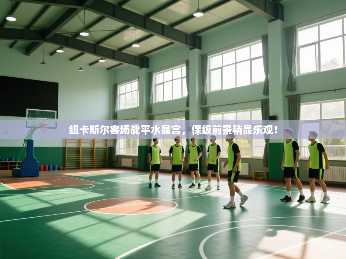 开云体育app官网入口网页版-纽卡斯尔客场战平水晶宫,保级前景稍显乐观! 第4张