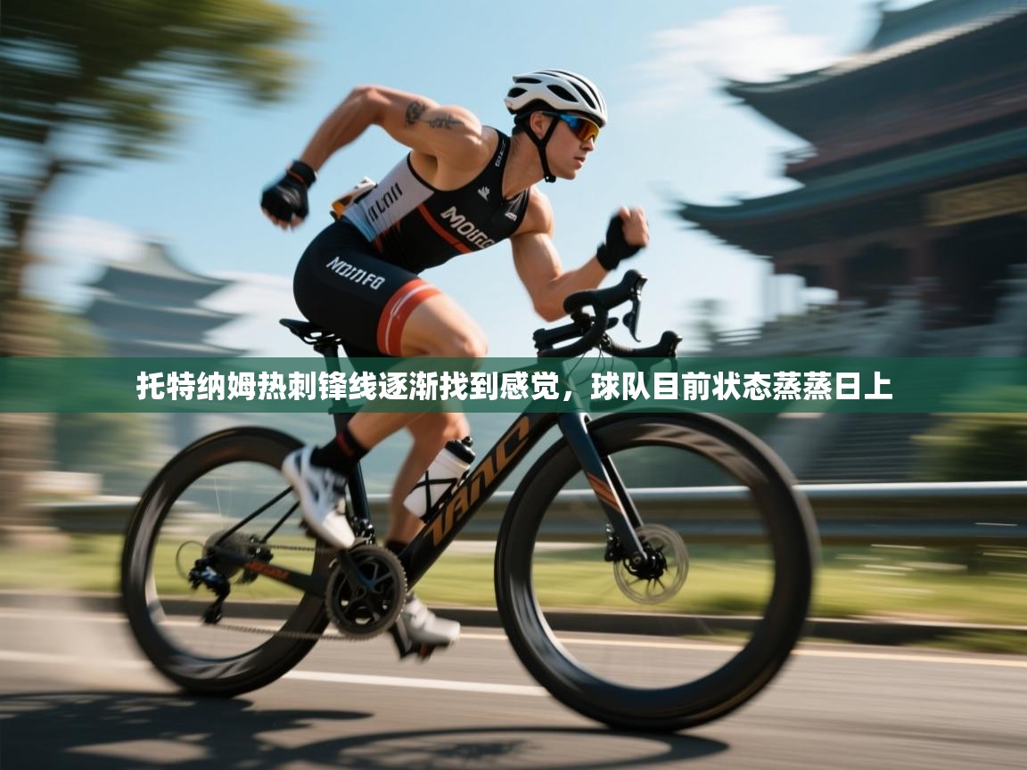 开云体育修改登录密码-托特纳姆热刺锋线逐渐找到感觉，球队目前状态蒸蒸日上  第4张