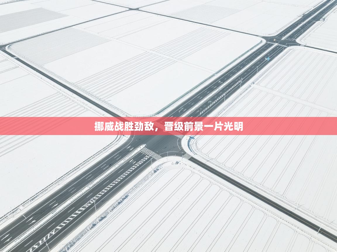 开云体育app评价-挪威战胜劲敌,晋级前景一片光明 第4张