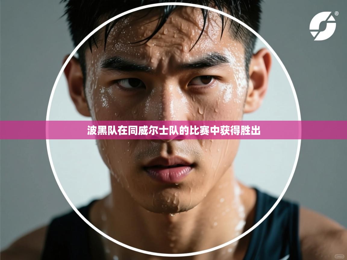 开云体育极速下载镜像-波黑队在同威尔士队的比赛中获得胜出 第2张