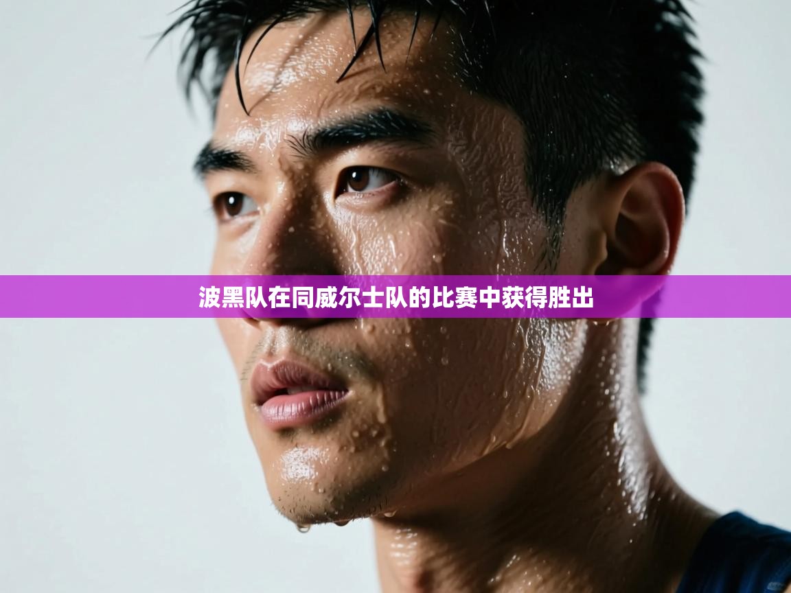 开云体育极速下载镜像-波黑队在同威尔士队的比赛中获得胜出 第3张