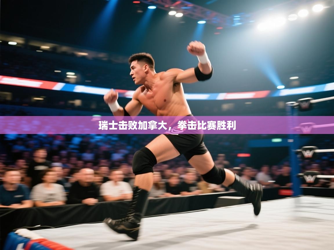 -瑞士击败加拿大，拳击比赛胜利  第3张