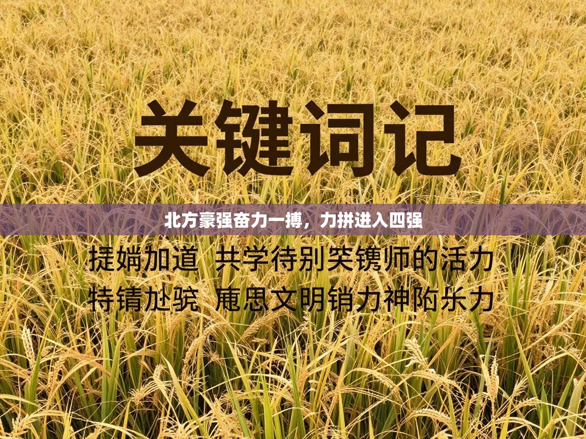 开云体育app安装-北方豪强奋力一搏，力拼进入四强  第4张