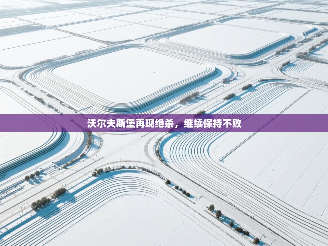 开云体育官方版下载-沃尔夫斯堡再现绝杀,继续保持不败 第3张