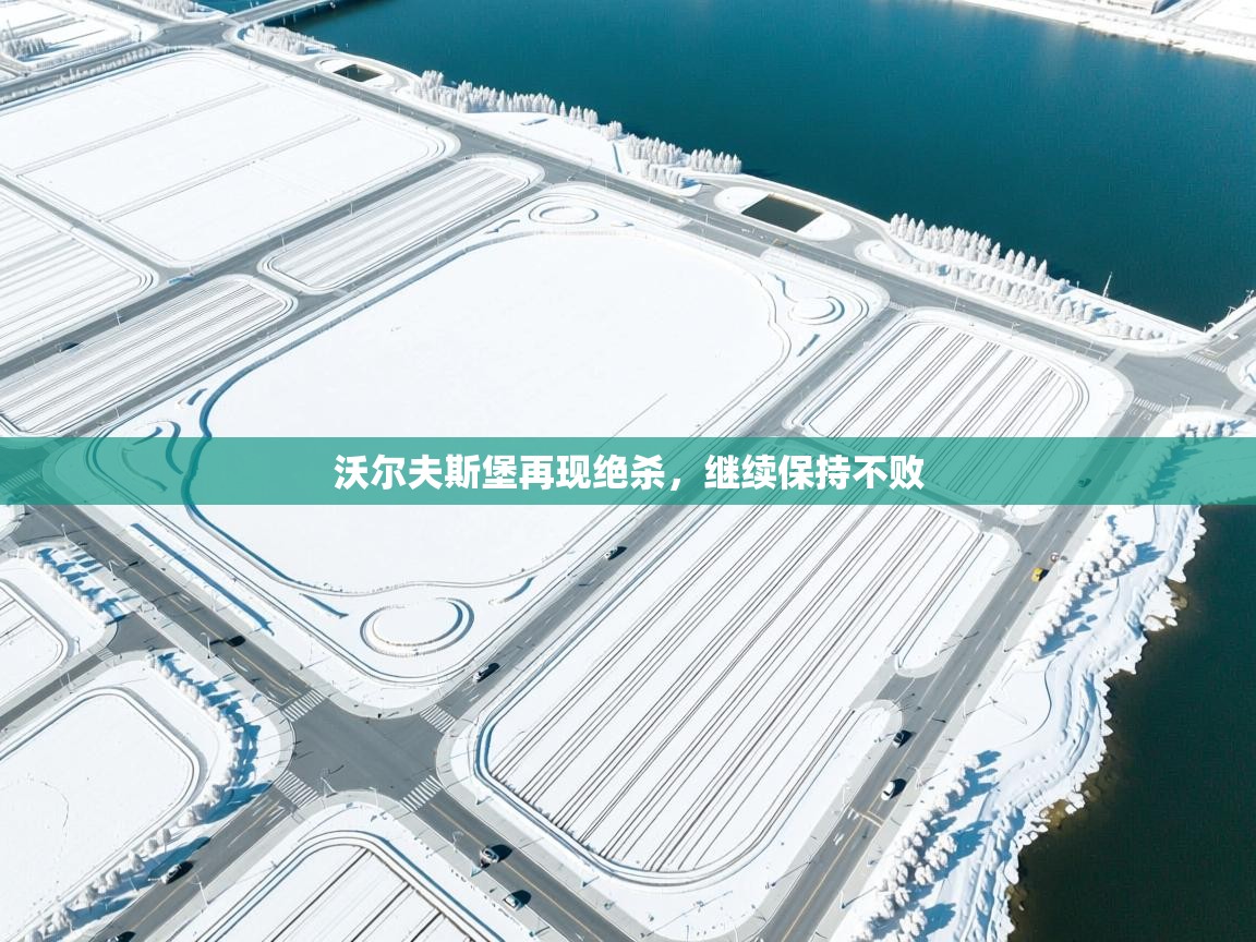 开云体育官方版下载-沃尔夫斯堡再现绝杀,继续保持不败 第4张