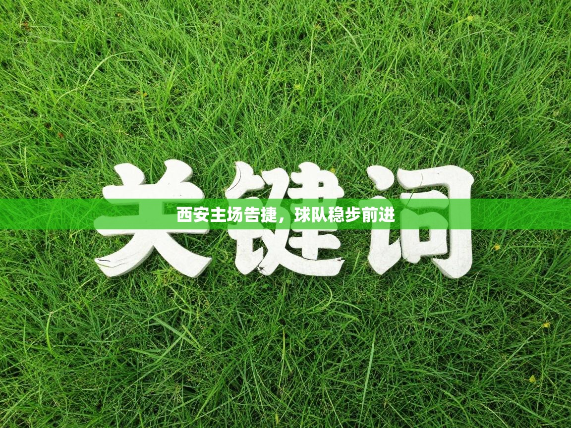 开云直播-西安主场告捷，球队稳步前进  第2张