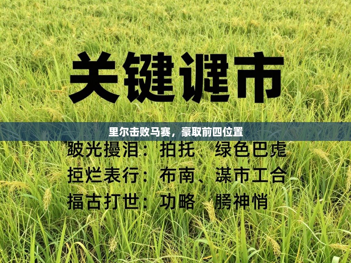 开云体育热门赛事直达-里尔击败马赛，豪取前四位置  第1张