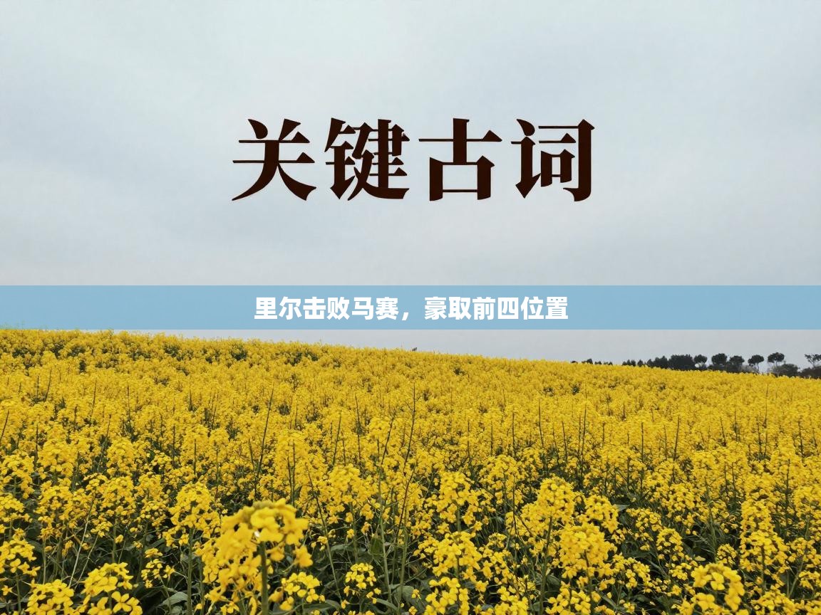 开云体育热门赛事直达-里尔击败马赛，豪取前四位置  第3张